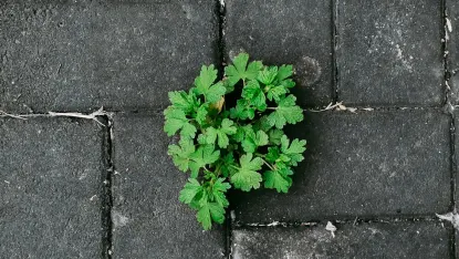 Kasino Deposit Win Apl Mudah Alih